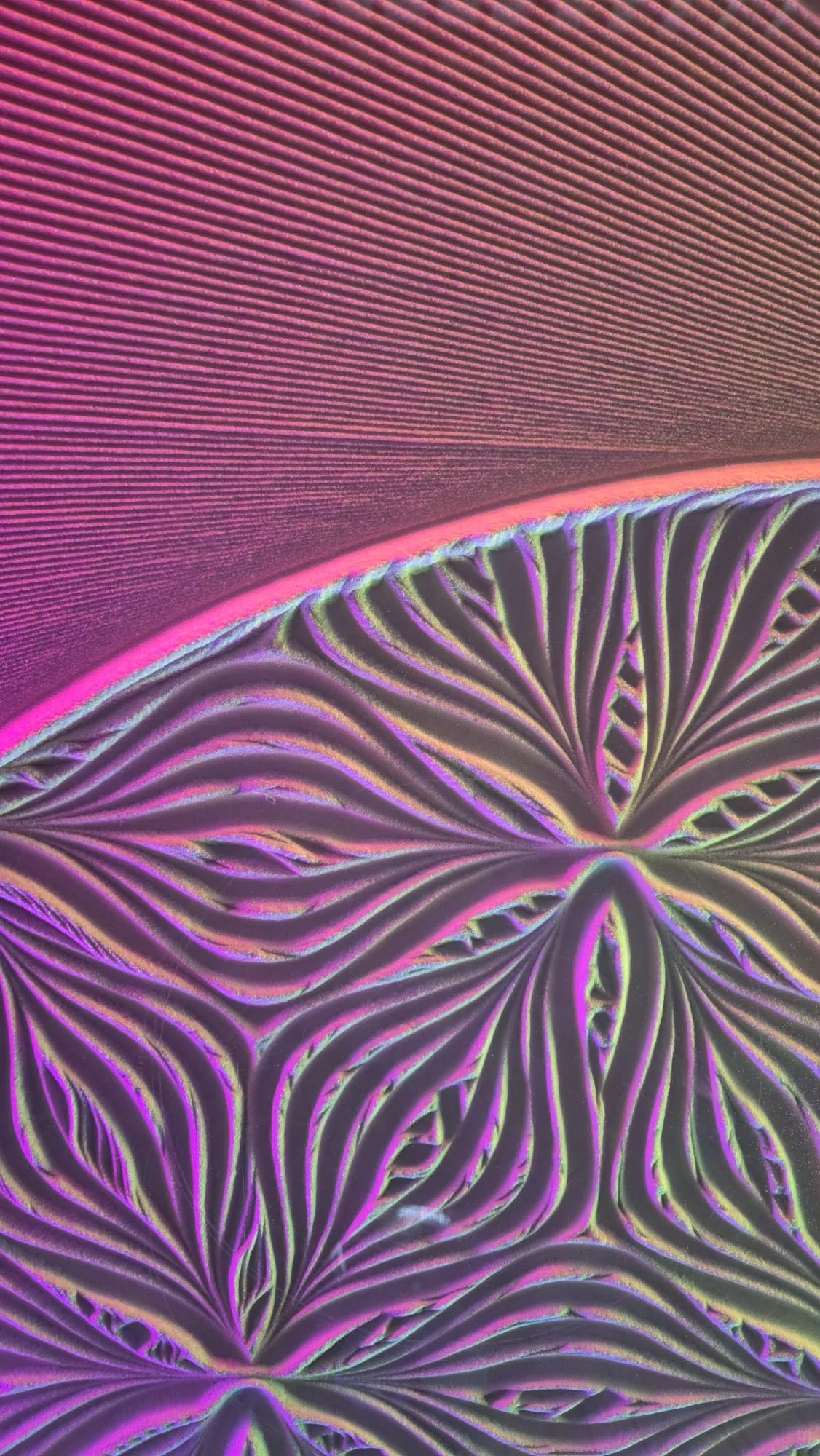 Dimension M
